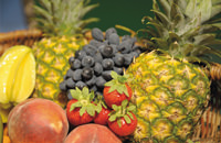 obst 200x130